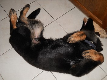 001balu 03.10.2011