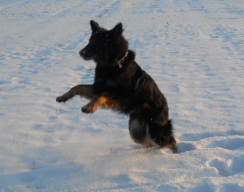 015 balu 13.02.2012