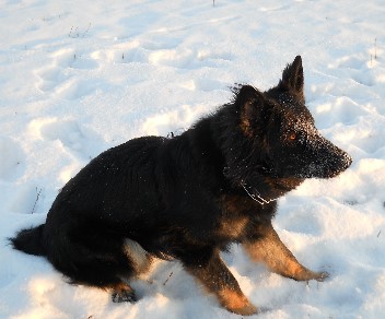 016 balu 13.02.2012