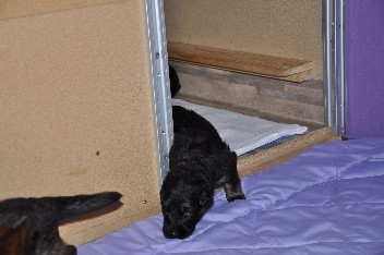 03.07.2012 - 7