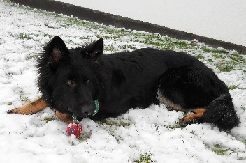 057 brix balu 09.12.2011