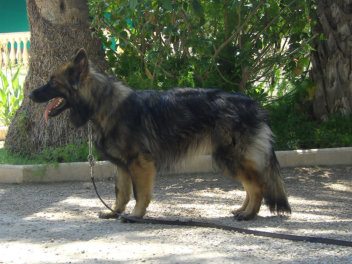 10462954_651303721626821_7726598414756602313_n franzi juni 2014