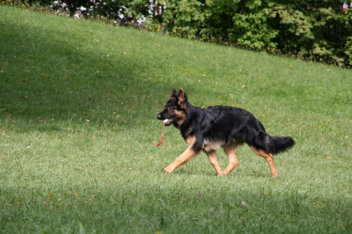 10581138_10201723880772575_549306174_n garmont asko august 2014