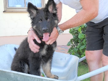 108 brix-balu 17.07.2011