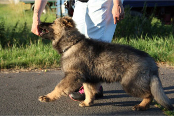 11836733_877351852345158_7593039156665543194_n ice august 2015