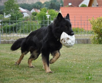 13.07.2013 brix-balu  - 27