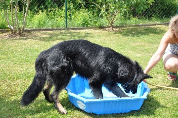 13.07.2013 brix-balu  - 59