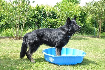 13.07.2013 brix-balu  - 61