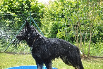 13.07.2013 brix-balu  - 77