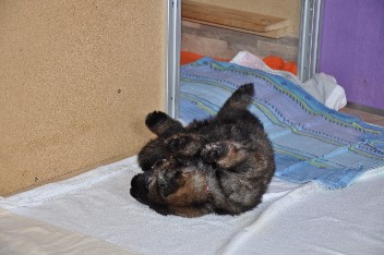 15.07.2012 darja - 32
