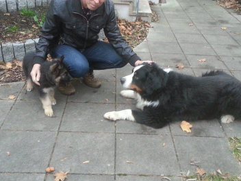 1521488_755948887816843_6940149437678812763_n hasko 19.12.2014
