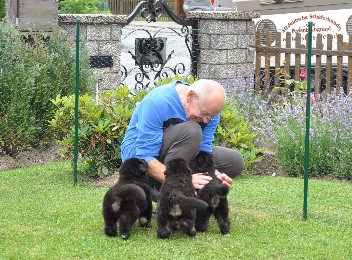 19.07.2012 - 10