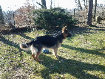 20140313_142302 ignaz m�rz 2014