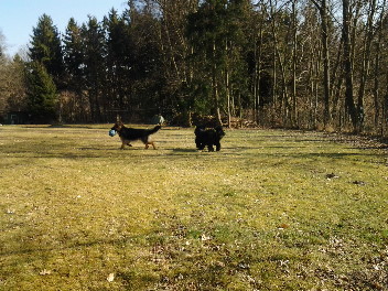20140313_142444ignaz m�rz 2014