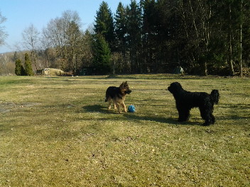 20140313_142501ignaz m�rz 2014