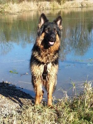 20141108_124944 enya dezember 2014