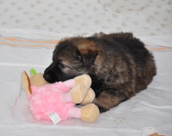 22.07.2012darja - 11