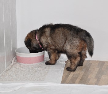 22.07.2012darja - 26