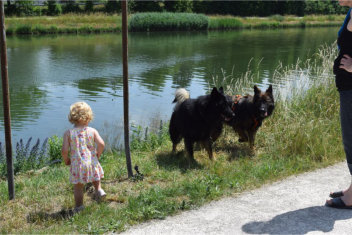 23 juli 2015