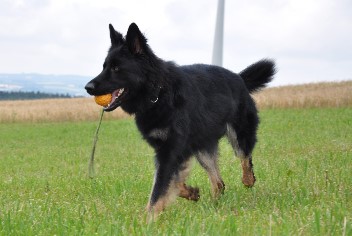 29.07.2012 balu - 81