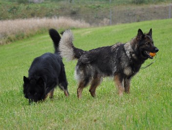 29.07.2012 balu + jazzy - 10
