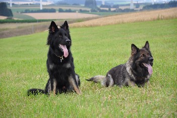 29.07.2012 balu + jazzy - 32