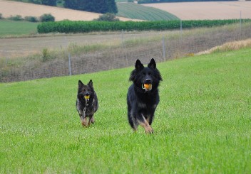 29.07.2012 balu + jazzy - 51