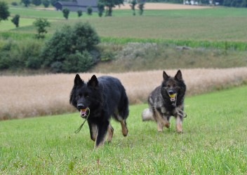 29.07.2012 balu, jazzy - 74