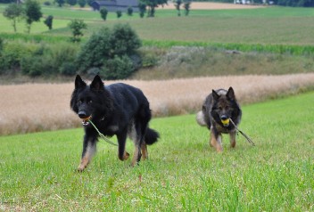 29.07.2012 balu, jazzy - 75