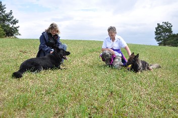 29.07.2012 balu, trixi, jazzy, heidi - 106