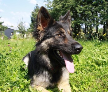 2 kira 05.08.2011