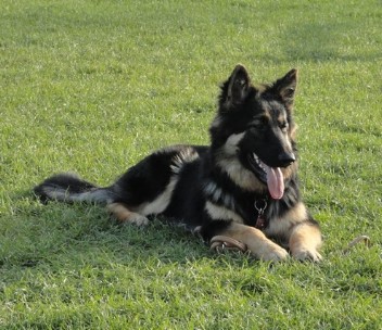 2barani 11.2011