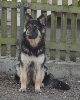 2barani 22.02.2012
