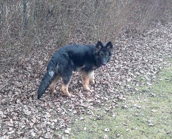 2champ 05.04.2012