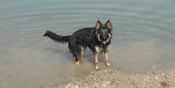 4barani 04.04.2012