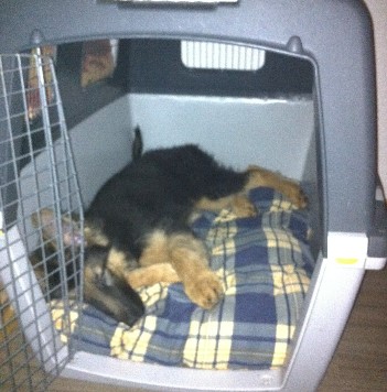 Aik 025 crash 20.01.2012