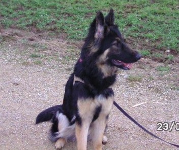 BILD0016 07.02.2012