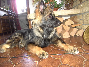 BILD3371franzi 25.03