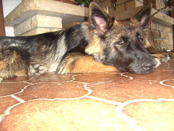BILD3374franzi 25.03