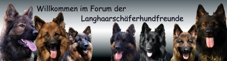 Banner_10_1langhaarsch�ferfreunde