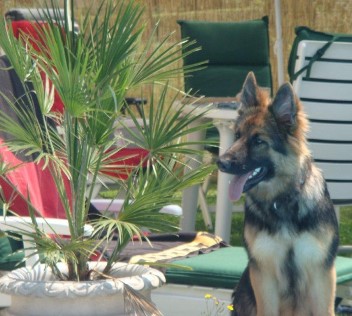 DSC057841 juli 2010