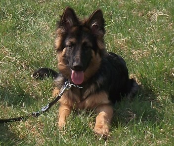 DSCF0420 caruso 07.04.201202