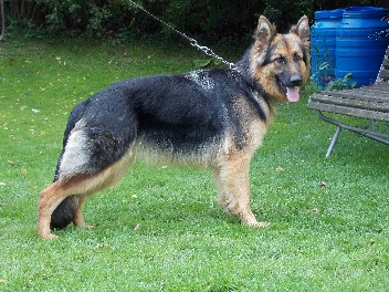 DSCN0066chayna august 2012