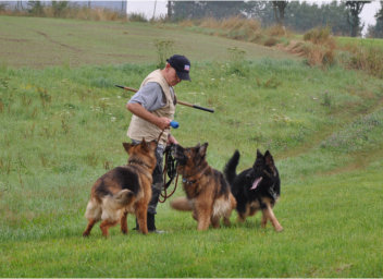 DSC_0003  fari, akira, ronja 04.08.2014