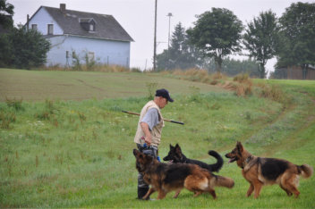 DSC_0005  fari, akira, ronja 04.08.2014