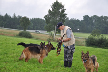 DSC_0030 fari, akira, ronja 04.08.2014