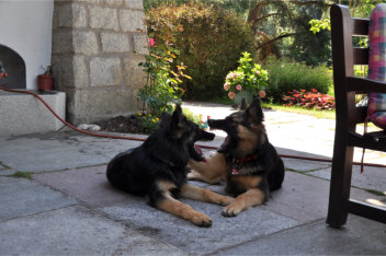 DSC_0064gira, ronja 04.07.2014