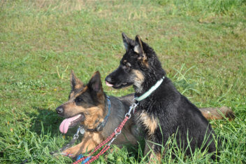 DSC_0074 akira, ronja 04.05.2014