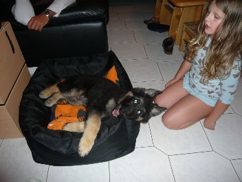 Dago im K�rbchen sept. 2012