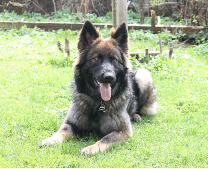 Darja juli 2013